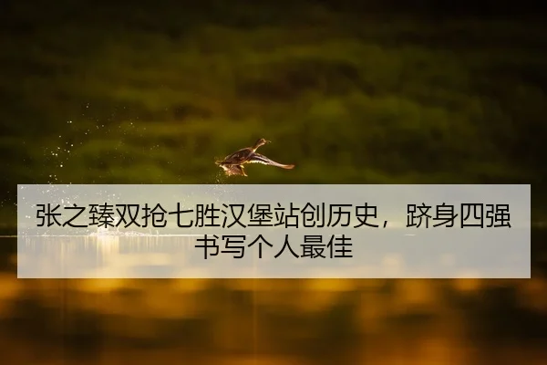 张之臻双抢七胜汉堡站创历史，跻身四强书写个人最佳